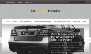 Lowcostautoprotection.com thumbnail
