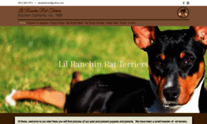 Lranchinratterriers.com thumbnail