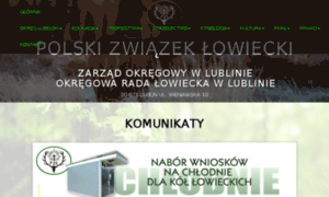 Lublin.pzlow.pl thumbnail