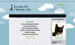 Luckycatrescue.com thumbnail
