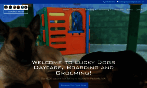 Luckydogsdaycare.com thumbnail