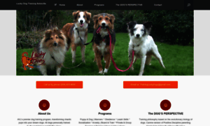 Luckydogtrainingasheville.com thumbnail