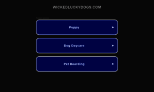 Luckyjackdogtraining.com thumbnail