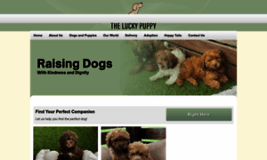 Luckypuppy.com.au thumbnail