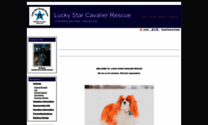 Luckystarcavalierrescue.org thumbnail