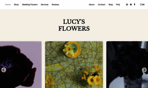 Lucysflowersnyc.com thumbnail