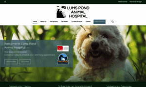 Lumspondanimalhospital.com thumbnail