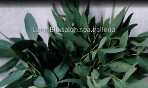 Lunablusalon.com thumbnail