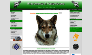 Lupi.difossombrone.it thumbnail