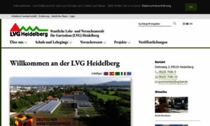 Lvg-heidelberg.de thumbnail