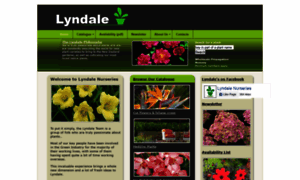 Lyndale.co.nz thumbnail