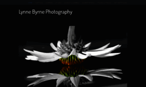 Lynnebyrnephotography.com thumbnail