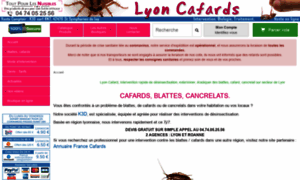Lyon-cafard.com thumbnail