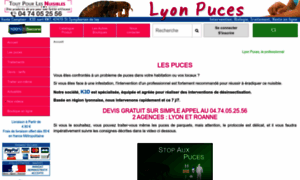 Lyon-puces.com thumbnail