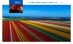 M-g.nl thumbnail