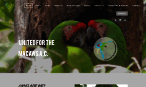 Macawforever.org thumbnail