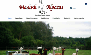 Madashalpacas.co.uk thumbnail