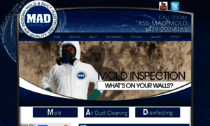 Madcleaningllc.com thumbnail