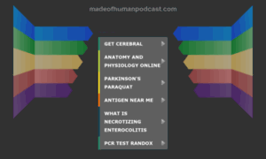 Madeofhumanpodcast.com thumbnail