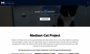 Madisoncatproject.org thumbnail
