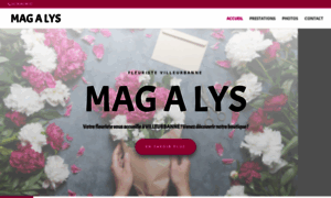 Magalys.fr thumbnail