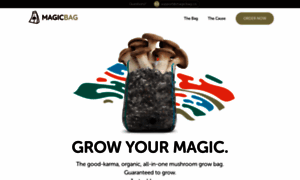 Magicbag.co thumbnail