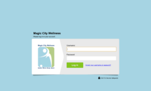 Magiccitywellness-receivables.freshbooks.com thumbnail