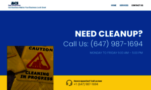 Magiccleaningservices.ca thumbnail
