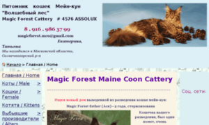 Magicforest-mainecoon.ru thumbnail