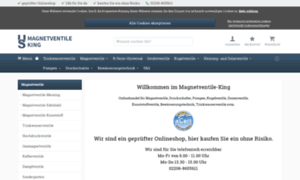 Magnetventile-king.de thumbnail