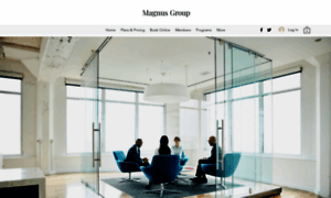 Magnusstrategygroup.com thumbnail
