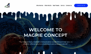 Magpie-concept.com thumbnail