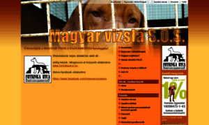 Magyarvizslasos.hu thumbnail