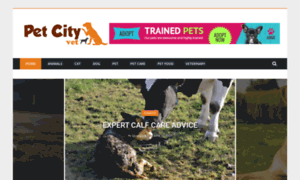 Mail.petcityvet.com thumbnail