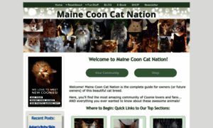 Maine-coon-cat-nation.com thumbnail