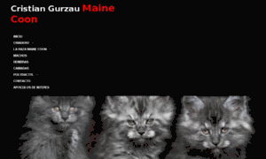 Maine-coon.es thumbnail