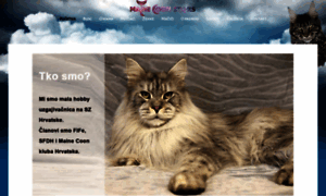 Mainecoons.hr thumbnail