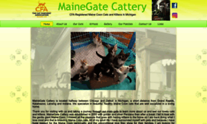 Mainegatecattery.com thumbnail