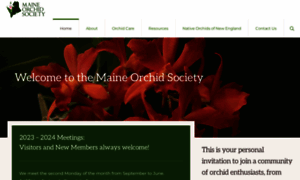 Maineorchidsociety.org thumbnail