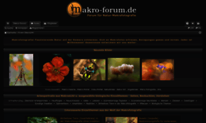 Makro-forum.de thumbnail