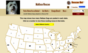 Maltese.rescueme.org thumbnail