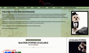 Maltesematchmaker.com thumbnail