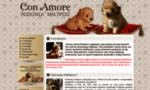 Maltipoo.pl thumbnail