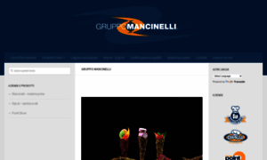 Mancinelligroup.com thumbnail