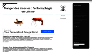 Manger-insectes.fr thumbnail