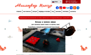Mansur.il-14.ru thumbnail
