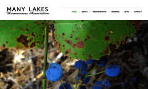 Manylakesmt.org thumbnail