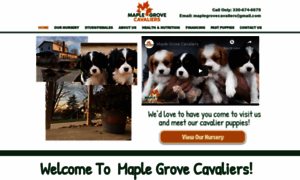 Maplegrovefamilycavaliers.com thumbnail