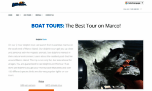 Marcoislanddolphintours.com thumbnail