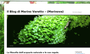 Marino.acquariodolce.it thumbnail